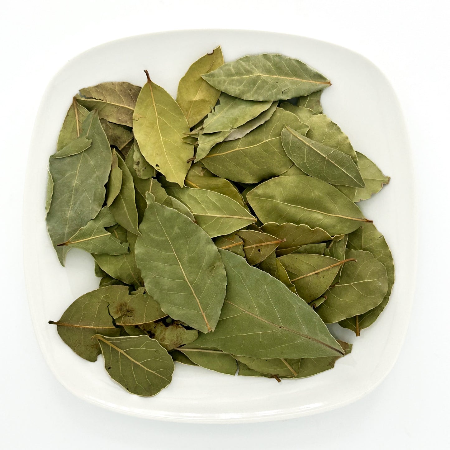 Bay Leaf