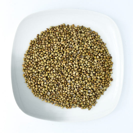 Coriander Seed