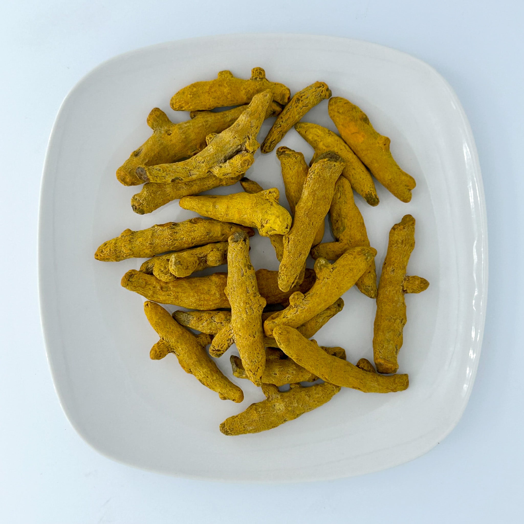 Turmeric Root | Esu Abita Botanica